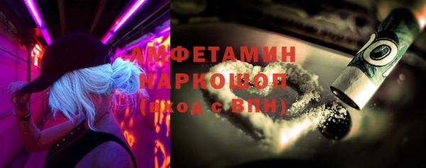 твердый Дмитровск