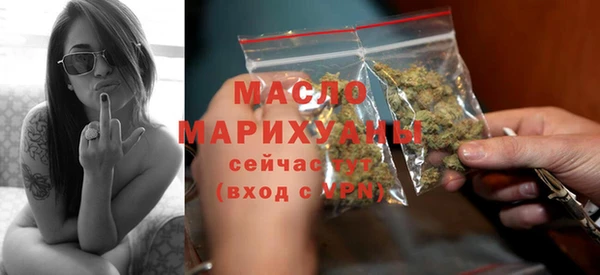 твердый Дмитровск