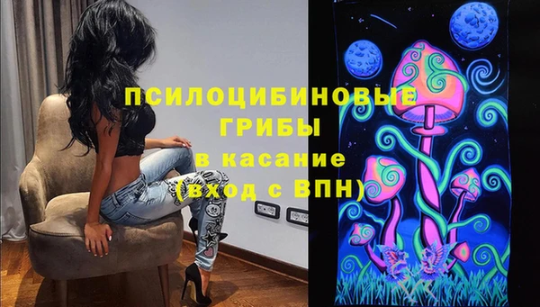 СК Елабуга