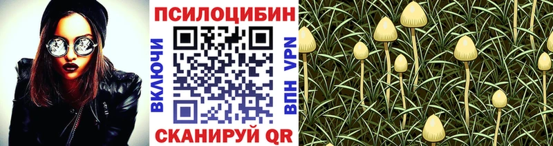Купить где  Прохладный  Галлюциногенные грибы MAGIC MUSHROOMS 
